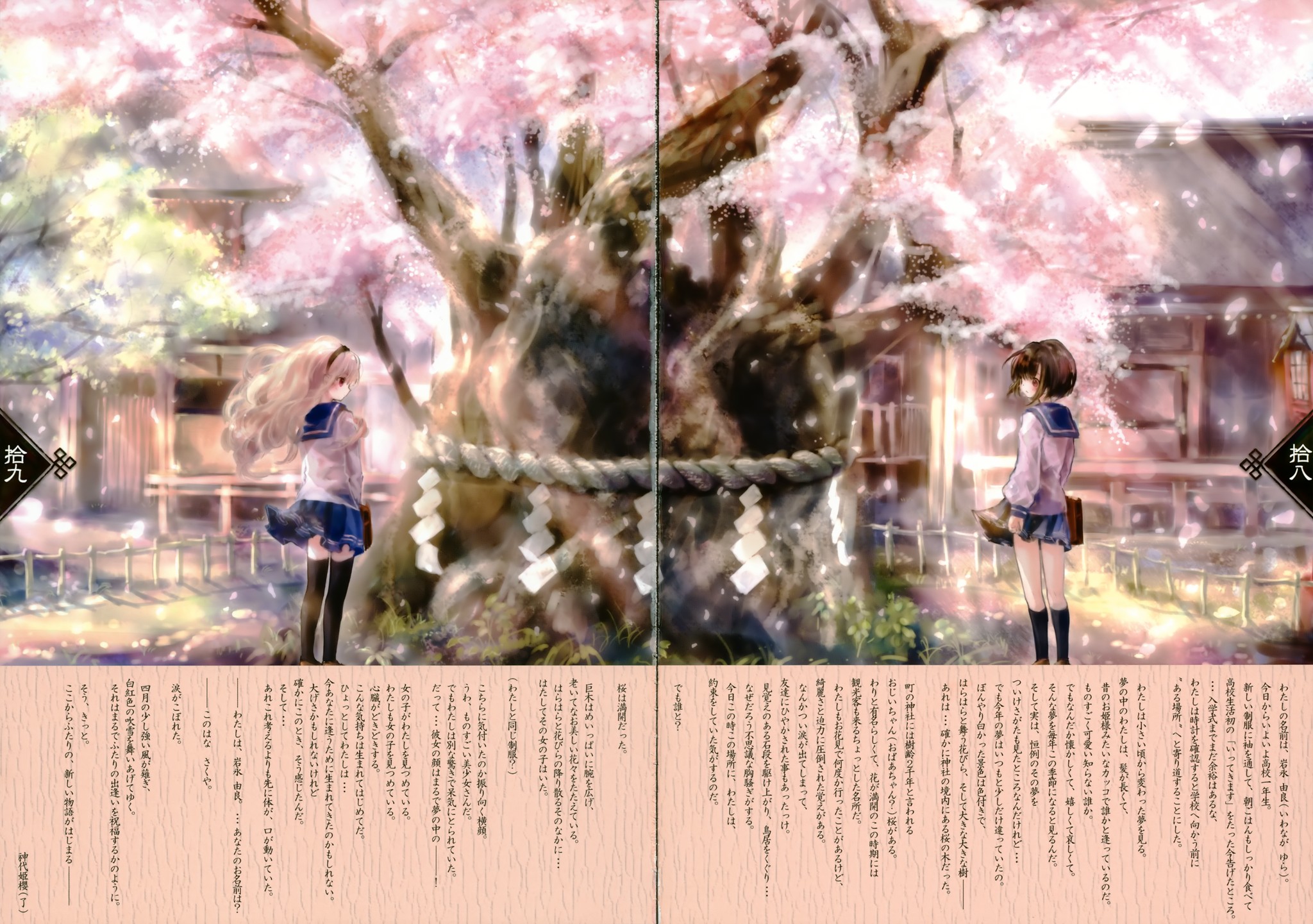 桜神様 12日 桜神様 12日 カード検索 ｜ Z/X - Zillions of enemy X