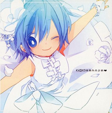 KAIKOはおれのよめ - Various artists - Vocaloid Database