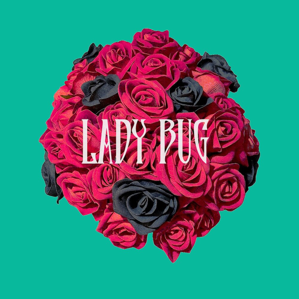 ■未開封/廃盤]ナナホシ管弦楽団 アルバムCD 「ABnormal LEGACY LADY BUG - ナナホシ管弦楽団 feat. various - Vocaloid Database