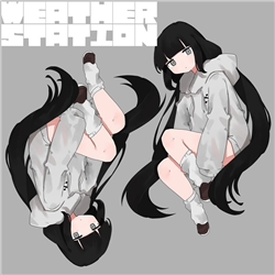 WEATHER STATION IMG