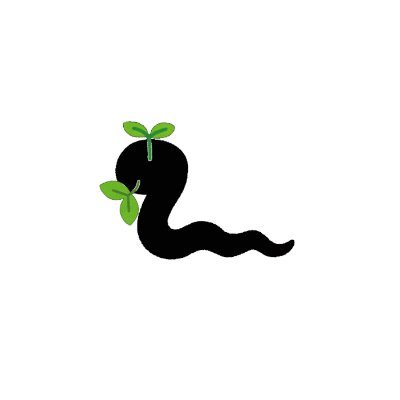 ワカシキ