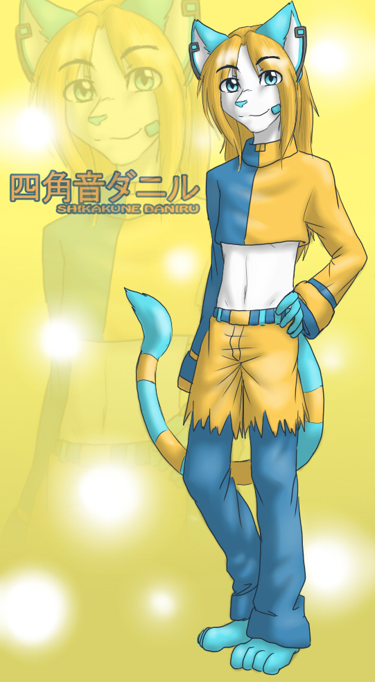 四角音ダニル