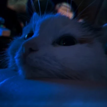 ドリフターキャットP