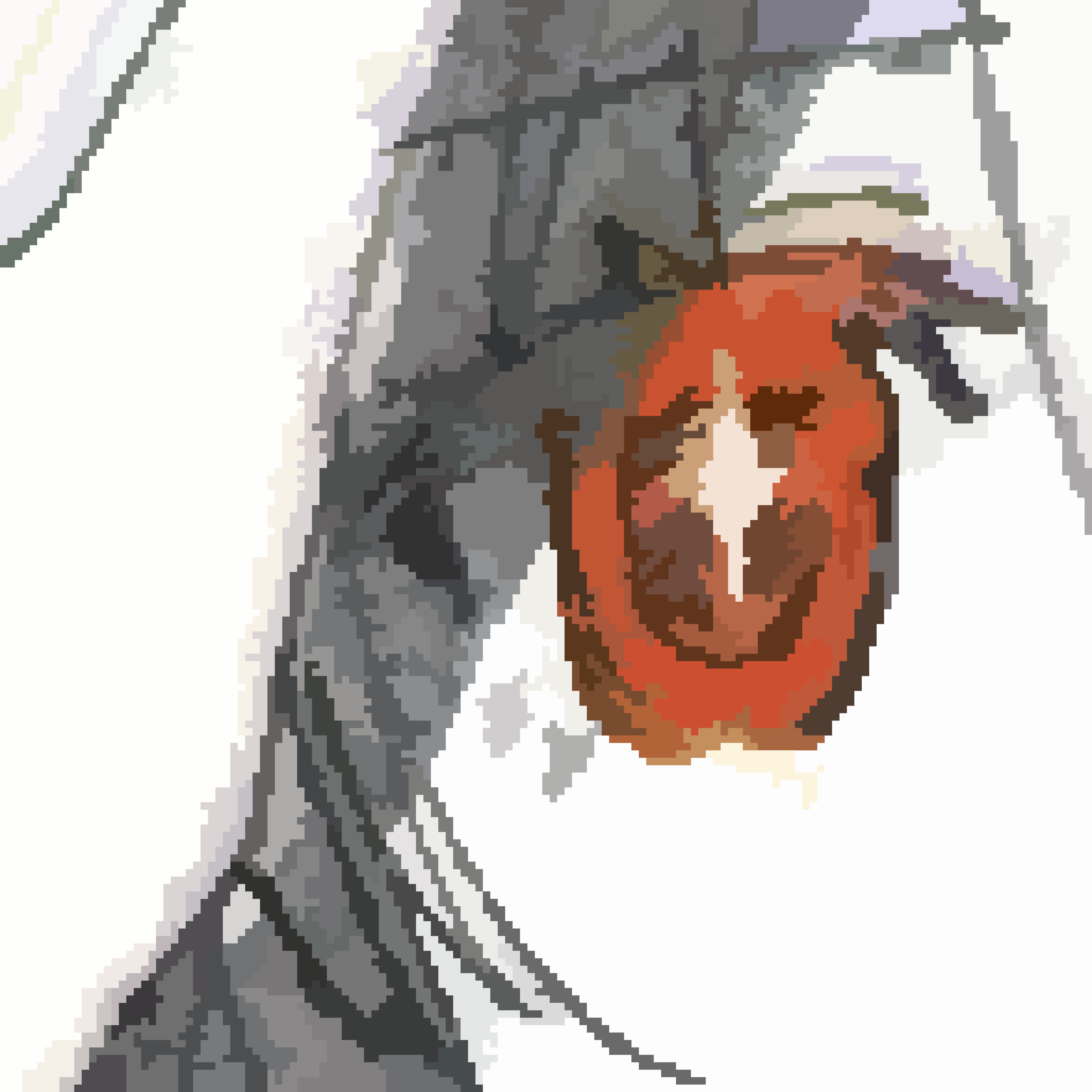 衿