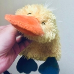 アヒルの天ぷら