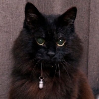 くろねこやま
