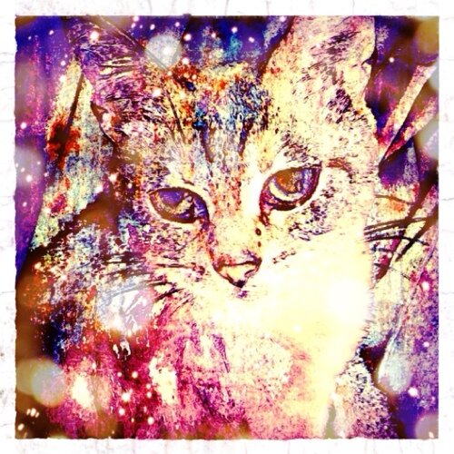 フカクボリョウ