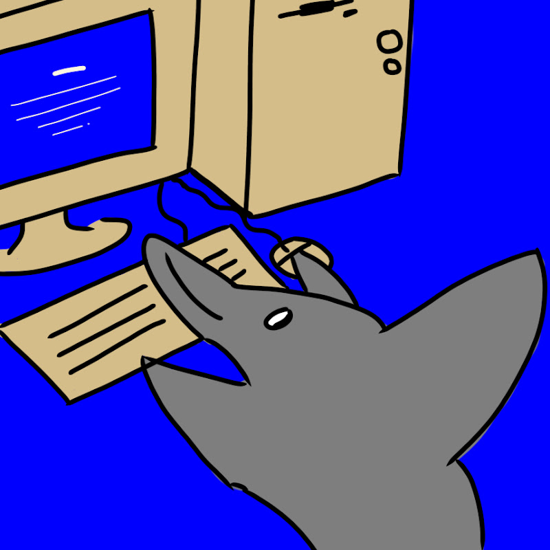 イルカシンカイ