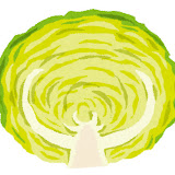 Cabbage Lettuce