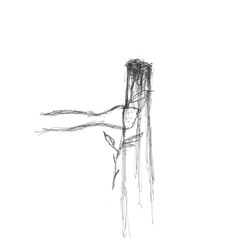 敬