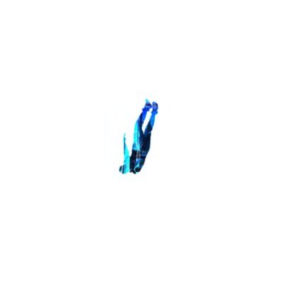 Wakus