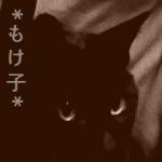もけ子