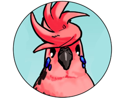 ゆ鳥