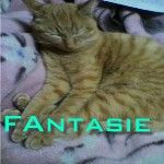 Fantasie