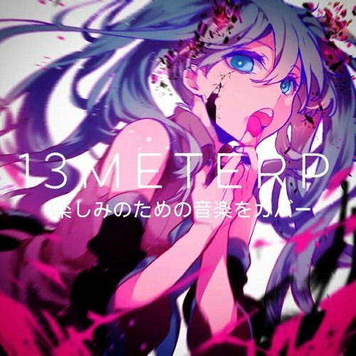 13meterP