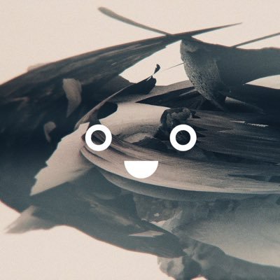 のんたん