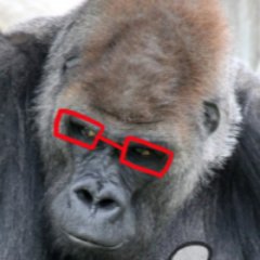 かんたんたんたん