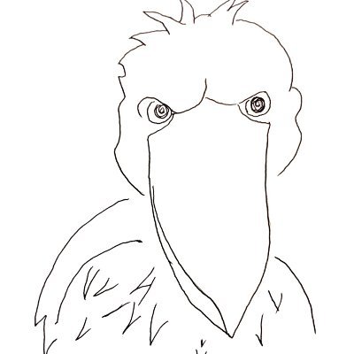 羽根田せな