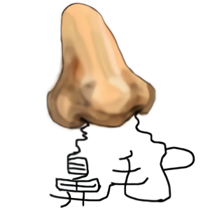鼻毛P