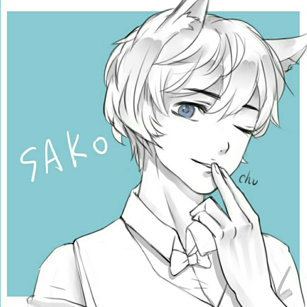 Sako