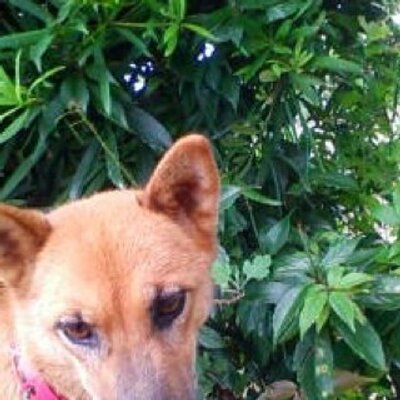 松田 コロ