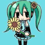 家の排水溝が詰まって溢れて水たまりP