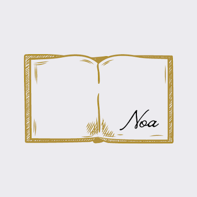 Team Noa
