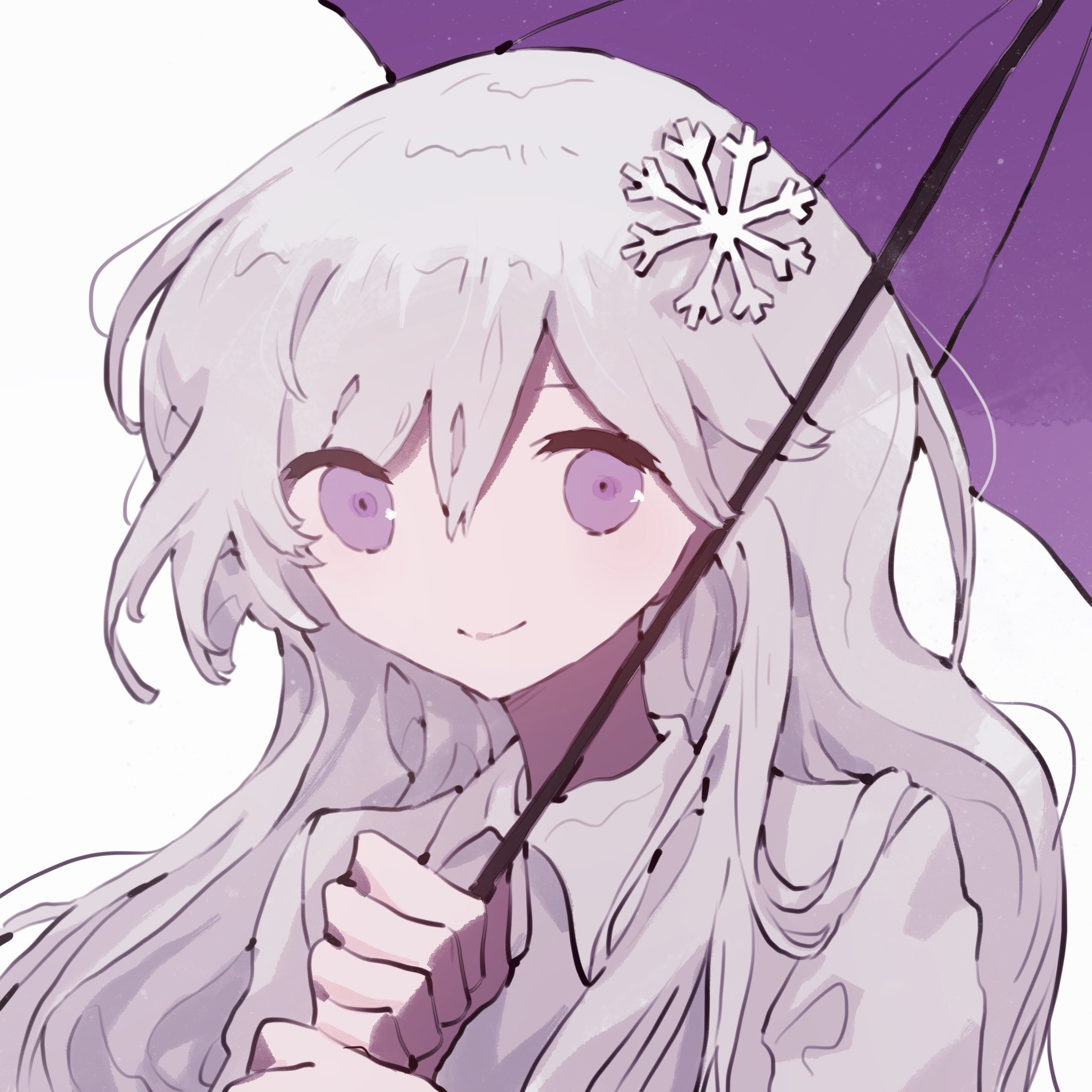 Snow24111