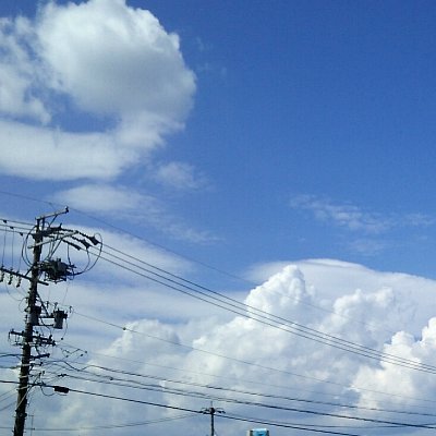 海野淘汰