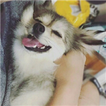 南山梦北水其欢