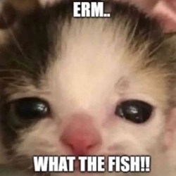 MfnMan2