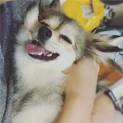 南山梦北水其欢