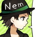 Nem