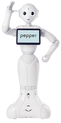 Pepper